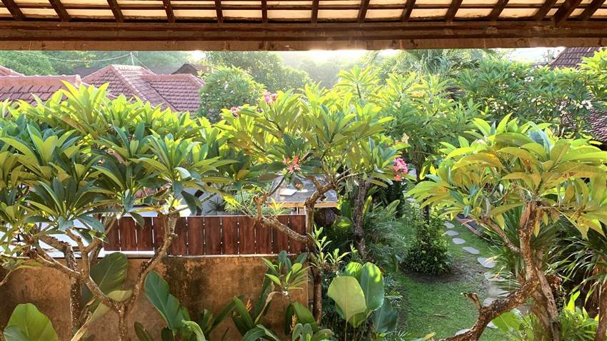 Sân vườn nhìn từ phòng ngủ tại Bali.