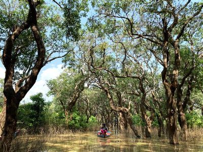 Một mình giữa rừng ngập nước hồ Tonle Sap