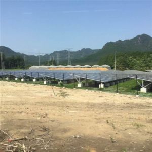 Cánh đồng năng lượng mơ ước nông thôn Việt