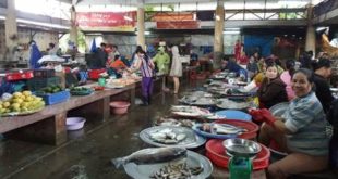 Chợ Xép Huế mùa tôm cá- Photo Hoài Hương