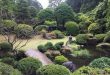 Vườn cảnh tiêu biểu Nhật bản. Photo Samgoshare.