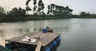 Dạo chơi hồ cá tra Long Xuyên An Giang.. Photo Samgoshare.