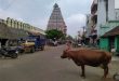 Một sáng đầu tiên tại thành phố Tiruchirappalli. Photo Samgoshare
