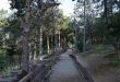 Công viên rừng Taleghani. Photo Samgoshare
