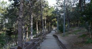 Công viên rừng Taleghani. Photo Samgoshare